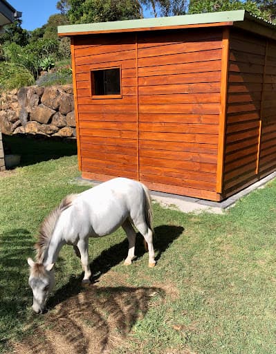 Wills Cubbies and Cabins — Customer photo