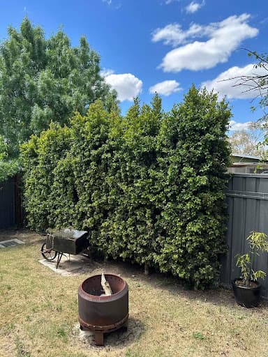 Garden & Build Co — Customer photo