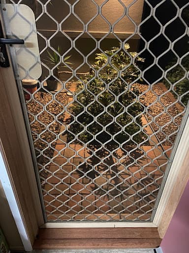 Carpenter With Passion — Customer photo