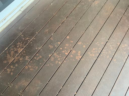 Adelaide Deck Revival — Customer photo